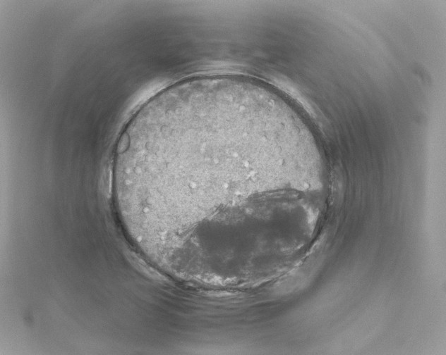 X0000114111413200911161109