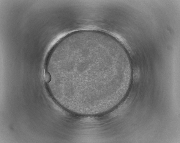 X0000114111414200911161109