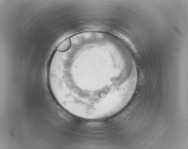 X0000114111419200911161109