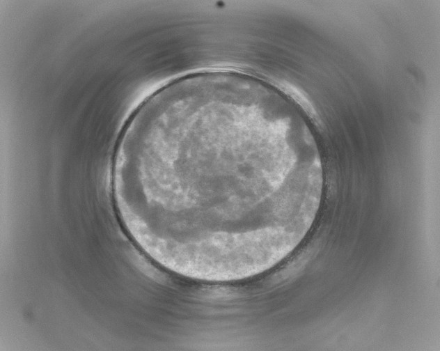 X0000114111420200911161109