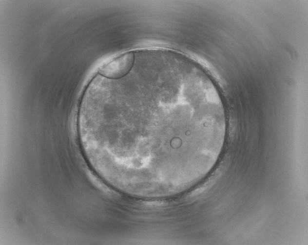 X0000114111421200911161109