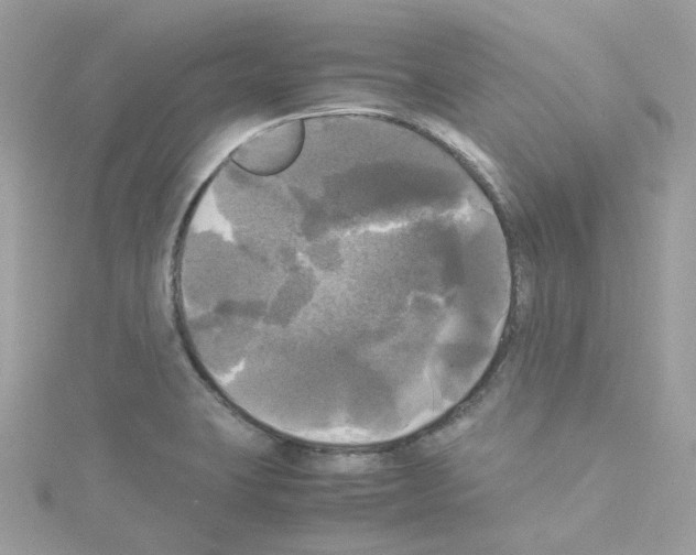 X0000114111423200911161109