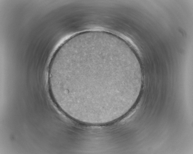 X0000114111424200911161109