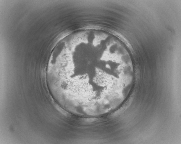 X0000114111425200911161109