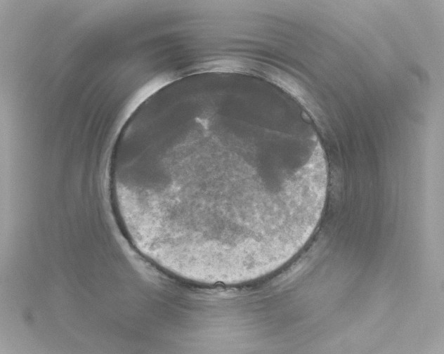 X0000114111426200911161109