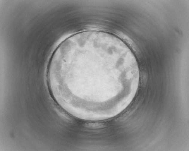 X0000114111427200911161109