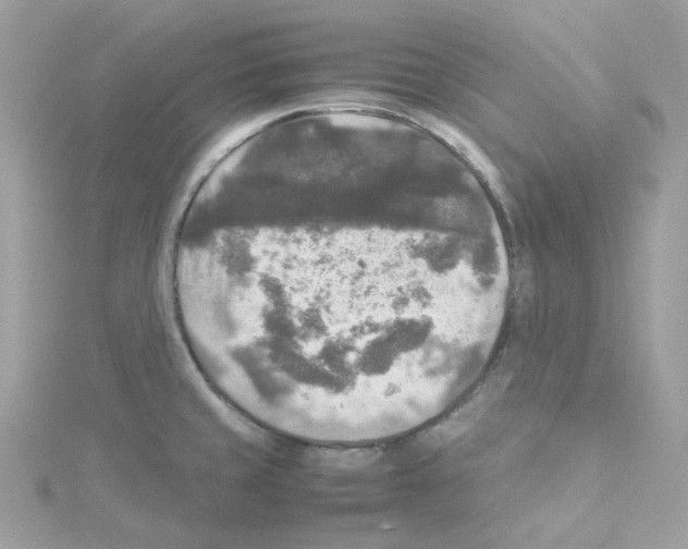 X0000114111429200911161109