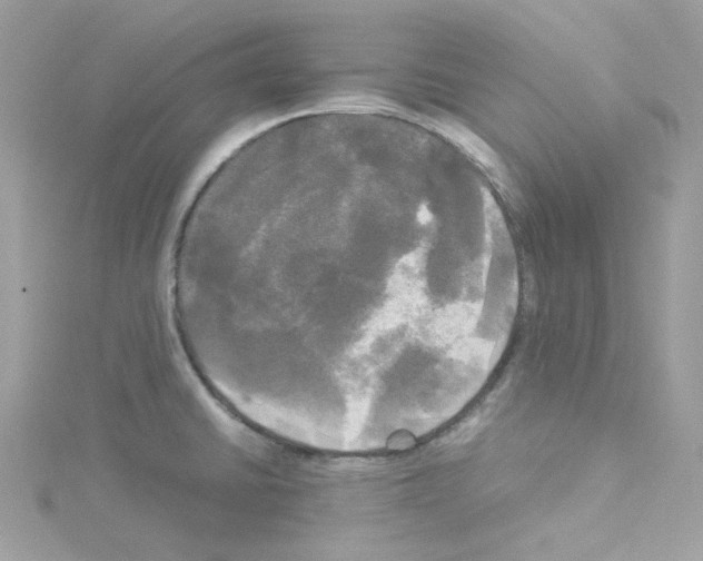 X0000114111430200911161109