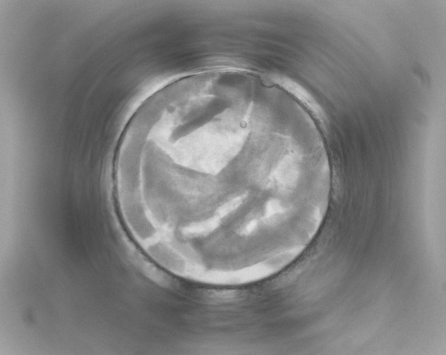 X0000114111431200911161109