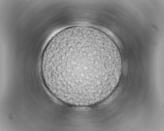 X0000114111432200911161110