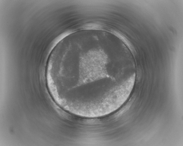 X0000114111434200911161110