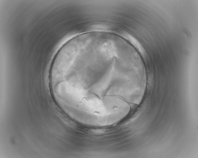 X0000114111435200911161110