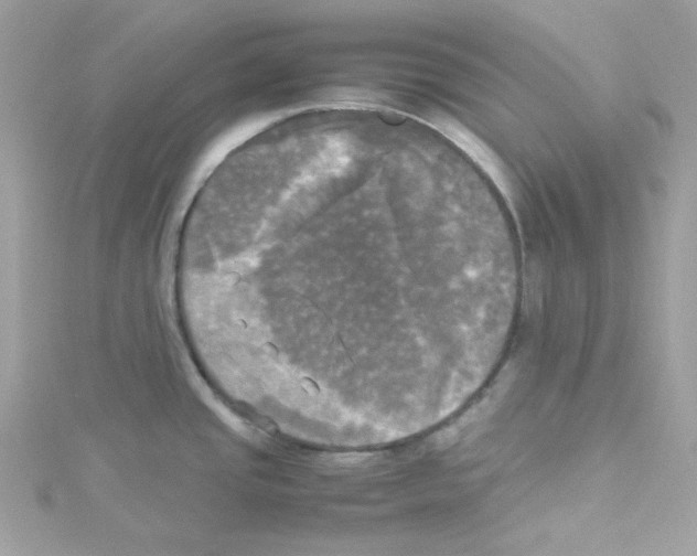 X0000114111437200911161110