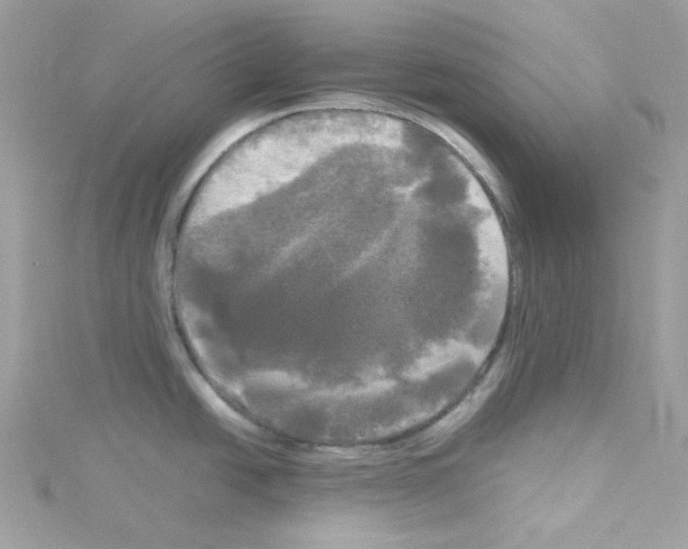 X0000114111438200911161110