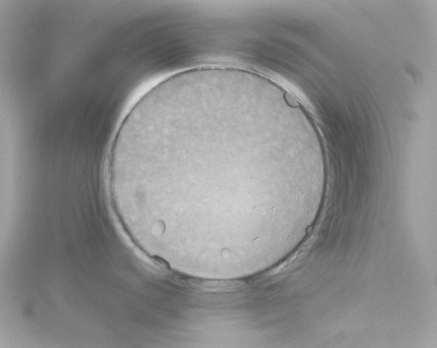 X0000114111440200911161110