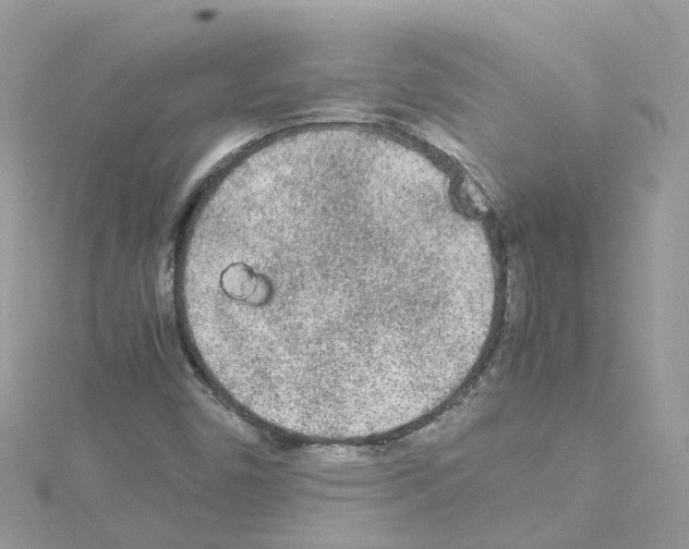 X0000114111450200911161109