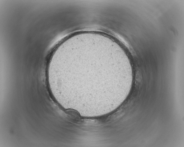 X0000114111456200911161109