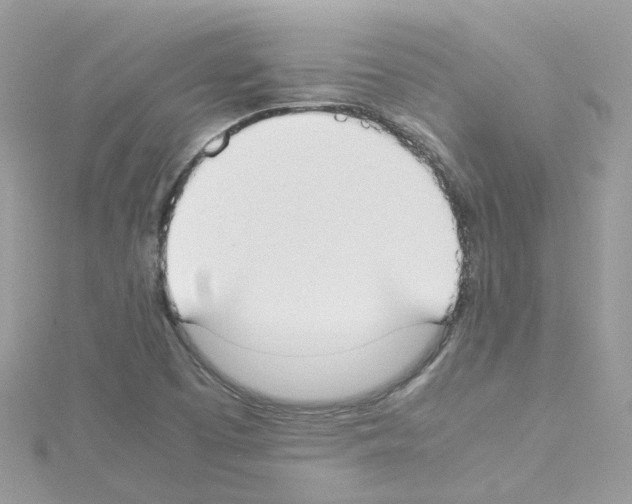 X0000114111457200911161109