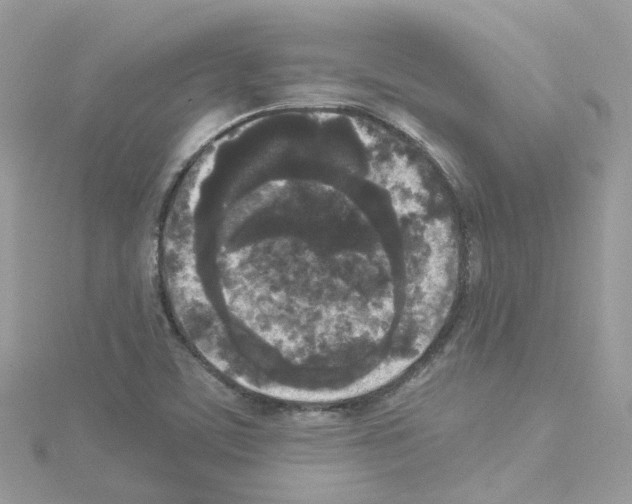 X0000114111459200911161109