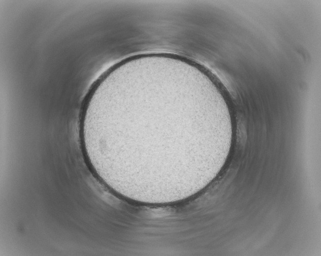 X0000114111460200911161109