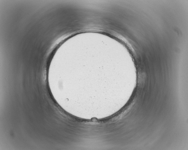 X0000114111461200911161109