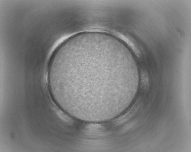 X0000114111462200911161109