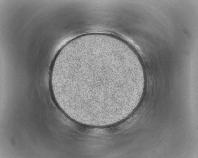 X0000114111463200911161109