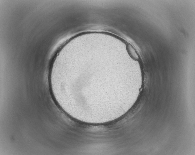 X0000114111464200911161109