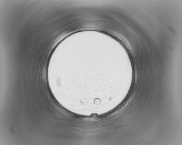 X0000114111465200911161109