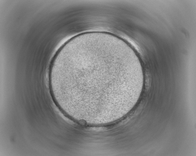 X0000114111468200911161109