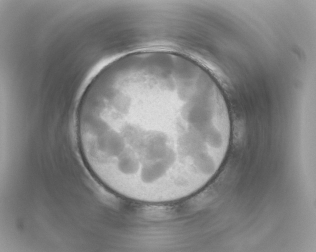 X0000114111470200911161109