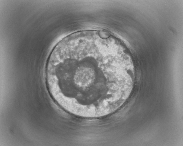 X0000114111471200911161109