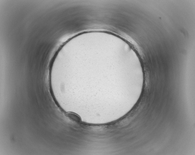 X0000114111472200911161109