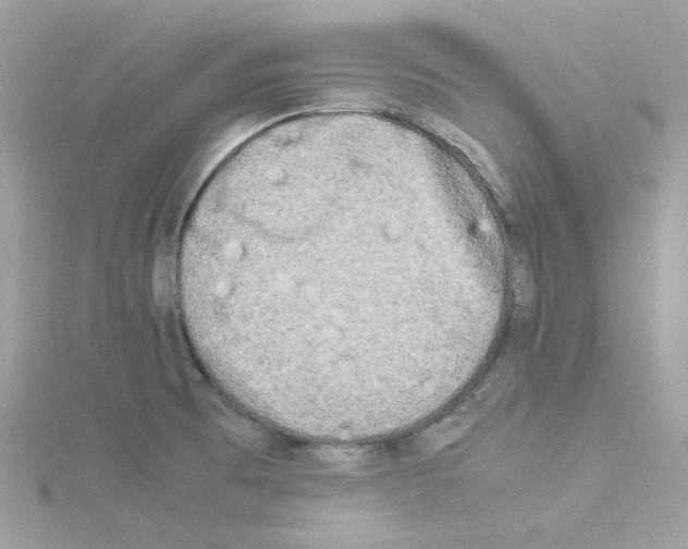 X0000114111473200911161109