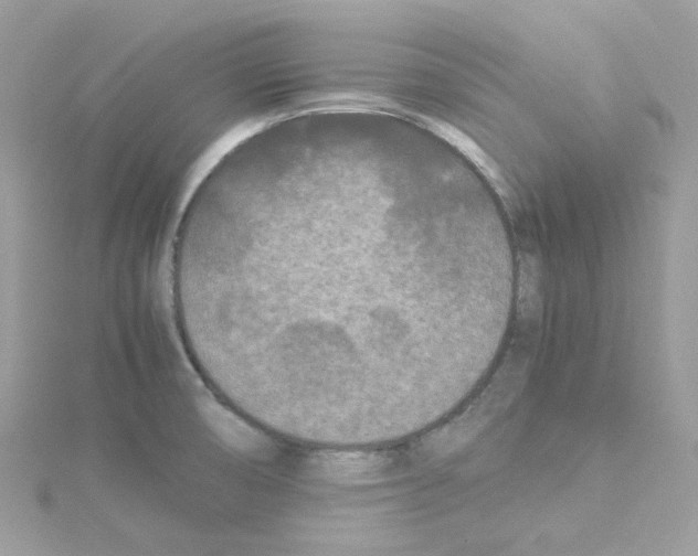 X0000114111474200911161109