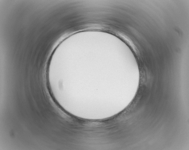 X0000114111475200911161109