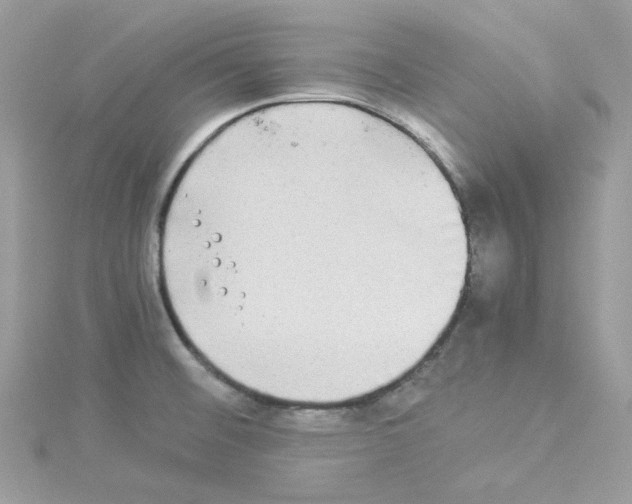 X0000114111476200911161109