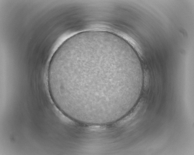 X0000114111478200911161109