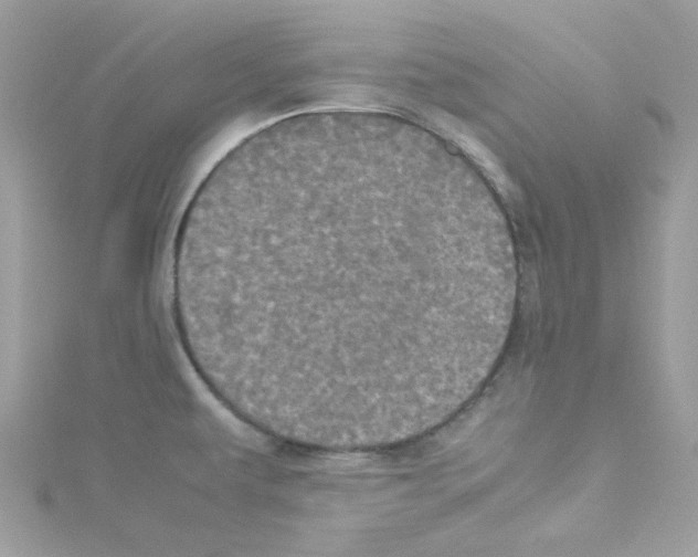 X0000114111479200911161109