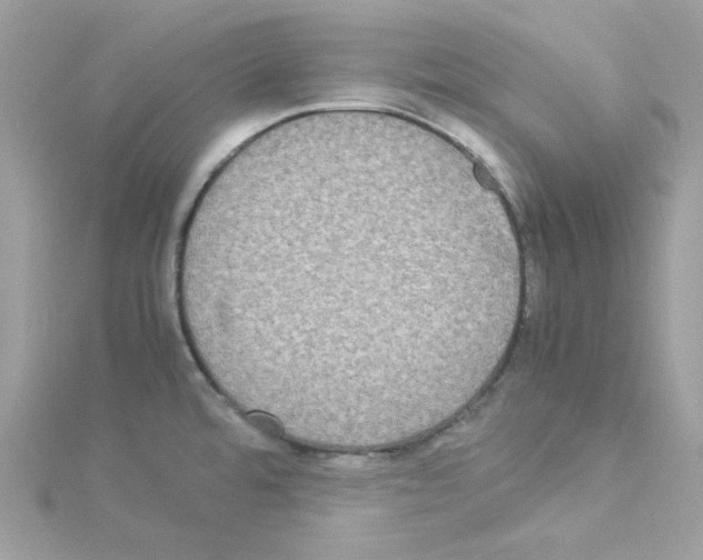 X0000114111480200911161108