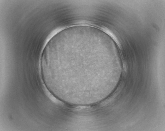 X0000114111482200911161108