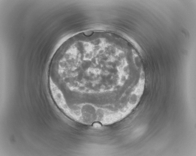 X0000114111483200911161108