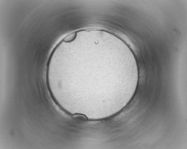 X0000114111484200911161108