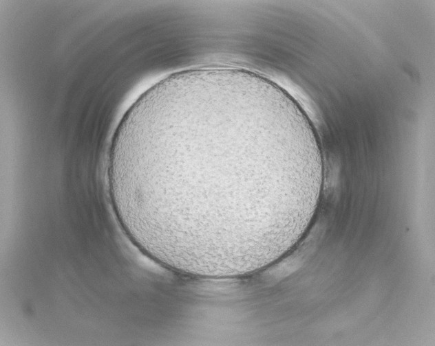 X0000114111486200911161108