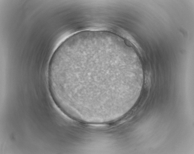 X0000114111487200911161108