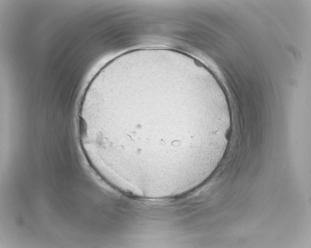 X0000114111488200911161108