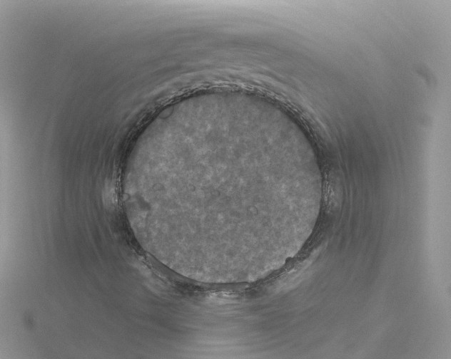 X0000114111490200911161108