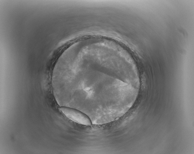 X0000114111494200911161108