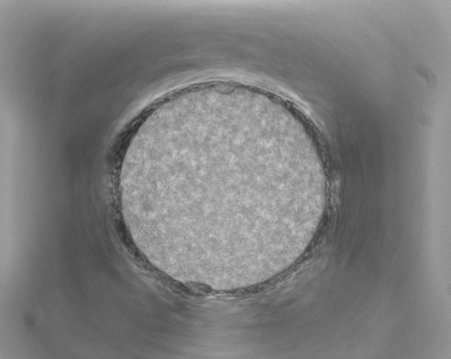 X0000114111496200911161108