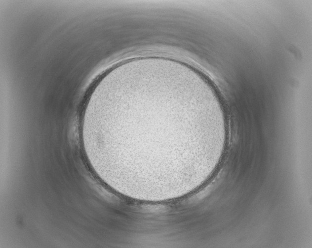 X0000114111498200911161108